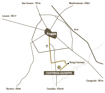 Mappa della città di Foggia con l'azienda agricola Ciuffreda