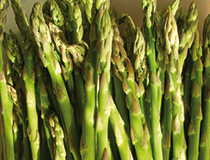 Asparagi